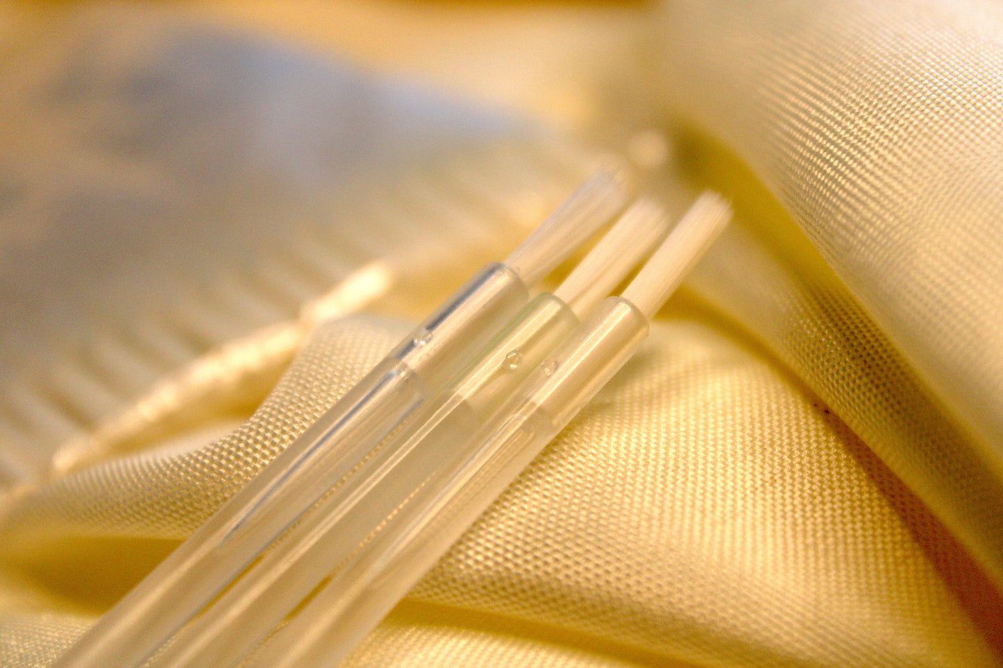 DISPOSABLE EYE BRUSH 50 PC