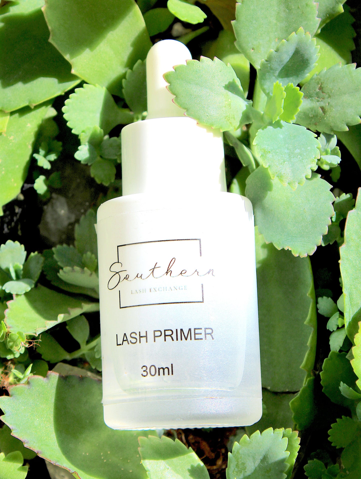 Primer