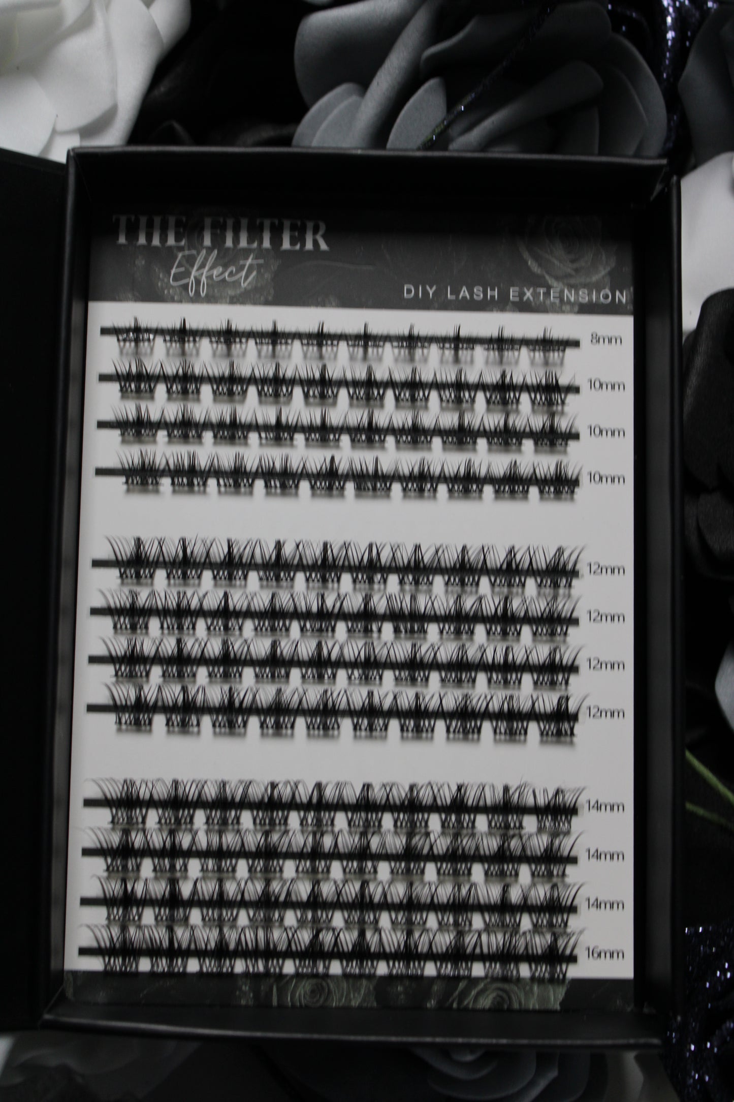 The Filter Effect Lashes